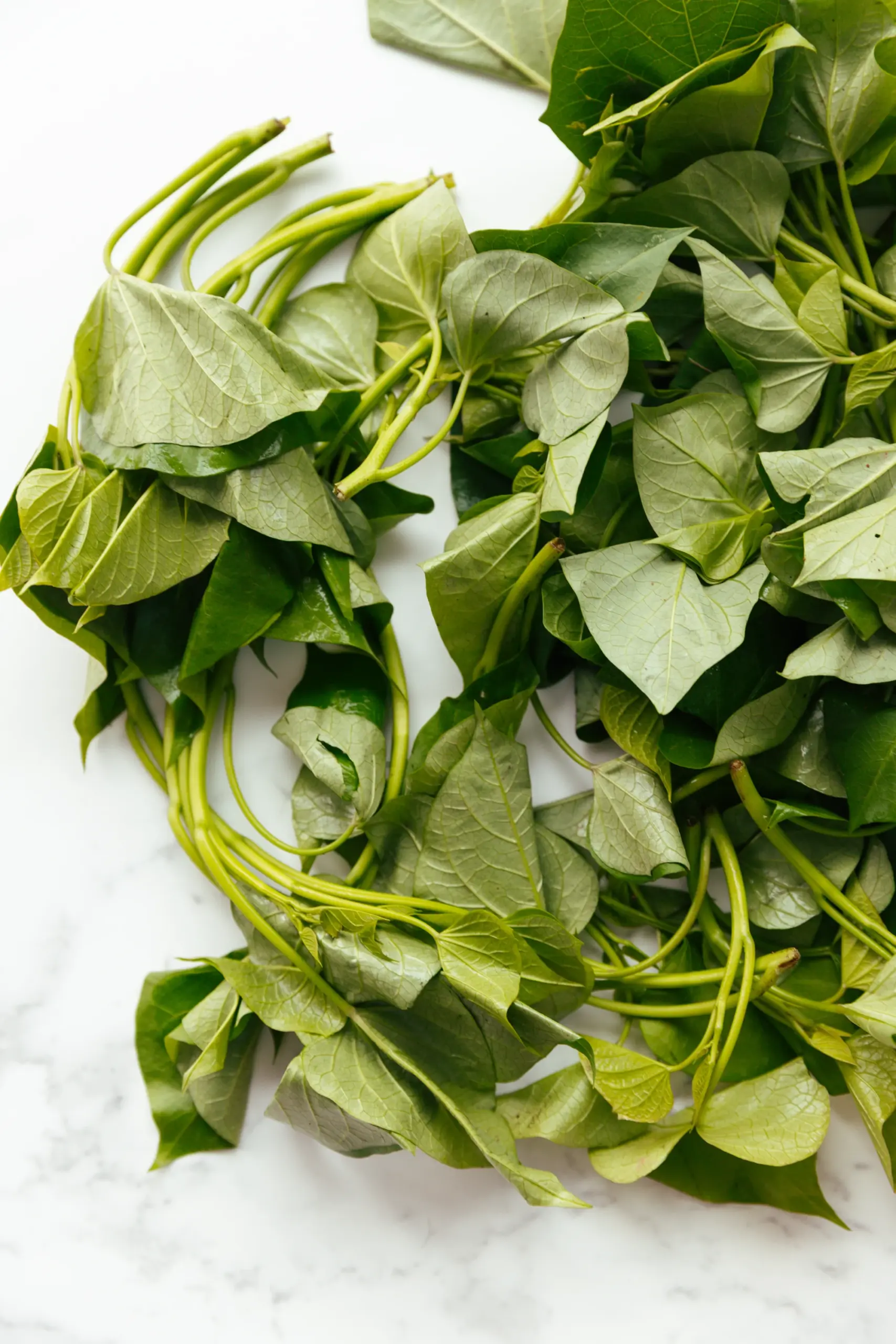 sweet potato leaf stir fry | chinasichuanfood.com